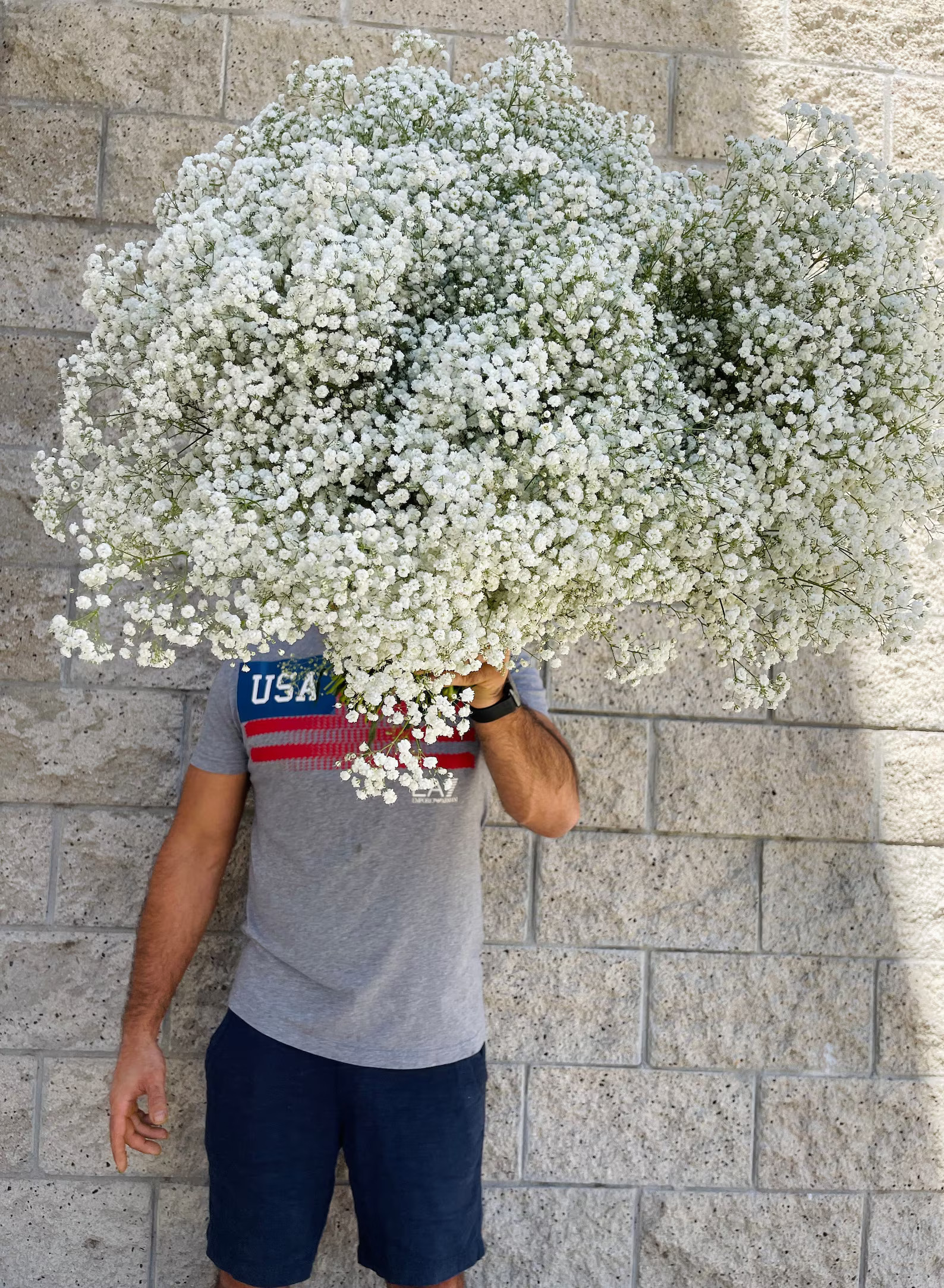 XL Babys Breath Bunch // Fresh Babysbreath Bouquet// Million Star // Naturally Grown Gysophila / ... | Etsy (US)