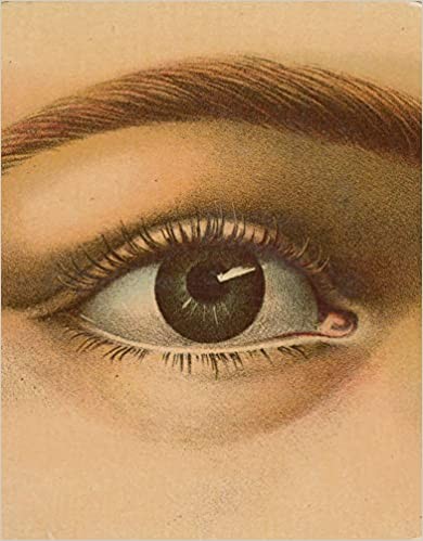 John Derian Picture Book



Hardcover – Illustrated, October 4, 2016 | Amazon (US)