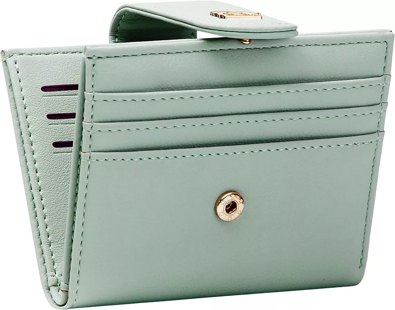 Belsmi Women's Small Compact Slim Leather Mini Wallet Lady Purse Zipper Pocket Card Organizer Bifold Wallets (Black)