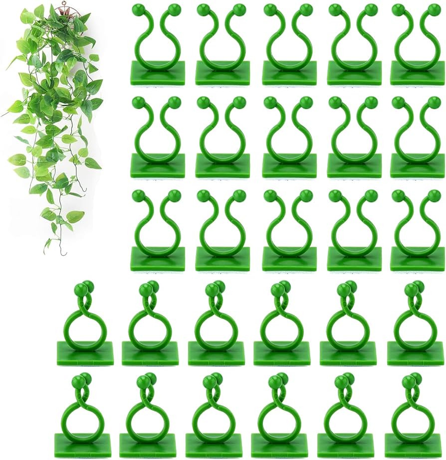 Tmofs 100Pcs Plant Climbing Wall Fixture Clips,Plant Fixer Invisible Wall Vines Fixing Clips Self... | Amazon (US)