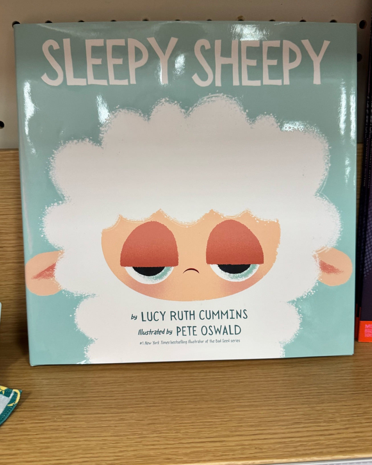 Sleepy Sheepy book and doll! Perfect to keep or to give as a gift!!! The doll is on sale and $10 off!! I also added more from the Sheepy series! Love the Sheepover one! And of course the Halloween and Christmas books!!

#LTKmomlife #LTKstorytime #LTKKids
