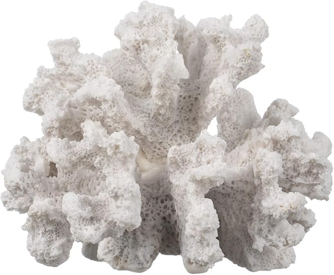 White Coral Decor - Coral Reef Decor (3.5inx4.5inx4in) - Resin Coral Decoration - Faux Coral - Na... | Amazon (US)
