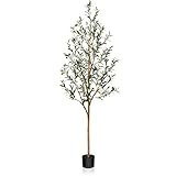 OAKRED Artificial Olive Tree, 6FT Tall Fake Silk Plants with Natural Wood Trunk Faux Potted Tree for | Amazon (US)