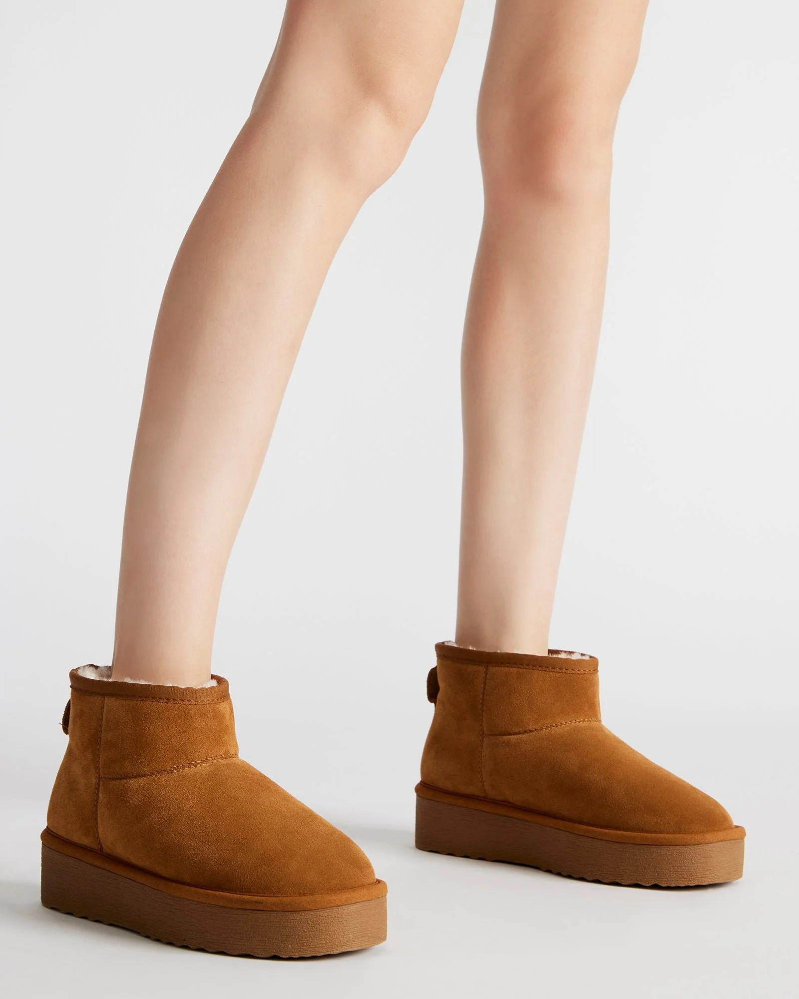 Comfy Chestnut Suede | Steve Madden (US)