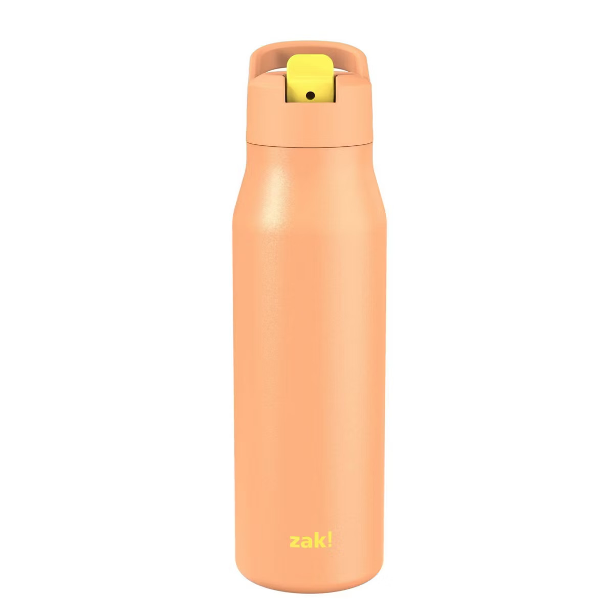 Zak Designs 20 fl oz Double Walled Stainless Steel Tranquility Insulated Straw Bottle | Target