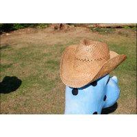 straw Cowboy Hat, Beach Pool Party, Cowgirl, Bachelorette Party Hats, Country-Western Gifts, Women Western Cowboy | Etsy (US)