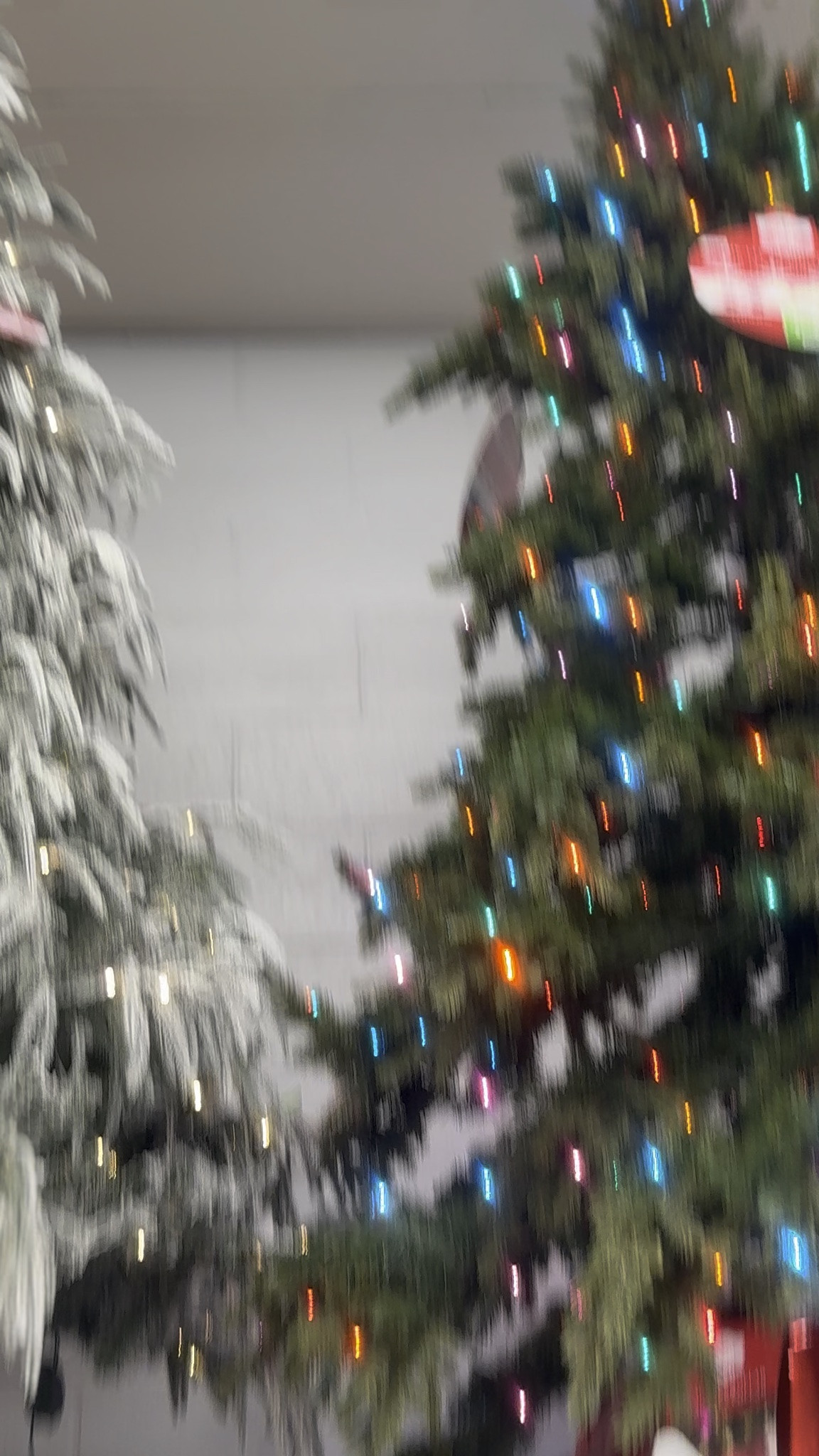 WALMART CHRISTMAS TREES ARE HEREEEEE! 🎄🎄🎄❤️

THEY REALLY SAID CHRISTMAS STARTS NOW! 😂😍 Walmart has their CHRISTMAS TREES OUT and I AM NOT MAD ABOUT IT! There are SO many cute options and I already want to decorate my whole house! 🎅🏽✨

WHO ELSE IS READY FOR CHRISTMAS?! Because I AM READY READY! 😂🎄

🛍️ I LINKED ALL MY FAVORITE WALMART CHRISTMAS TREES ON MY LTK! GO TO MY LTK AND SHOP MY PICKS BEFORE THE GOOD ONES ARE GONE!

#WalmartFinds #ChristmasTrees #ChristmasDecor #LTKFinds