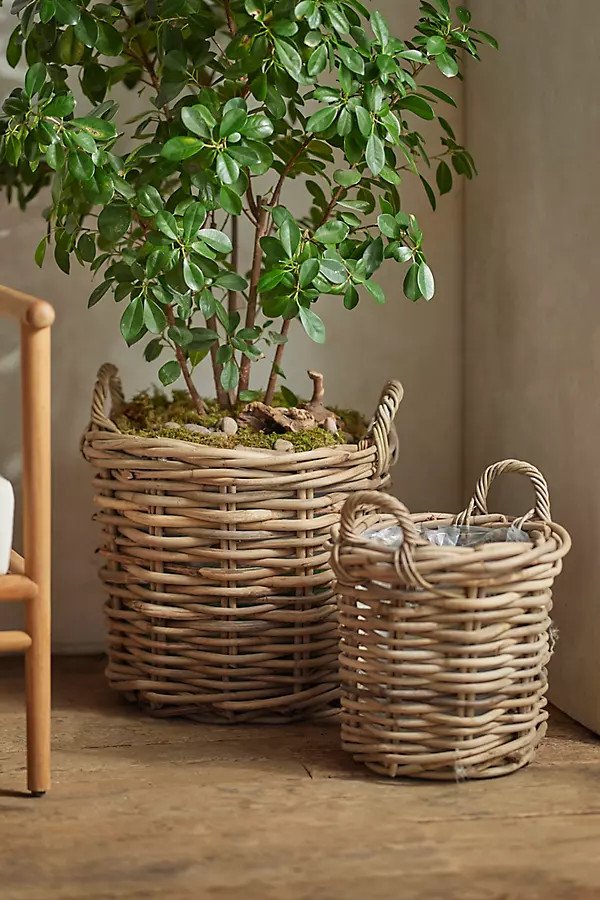 Rattan Cylinder Basket Planter | Anthropologie (US)