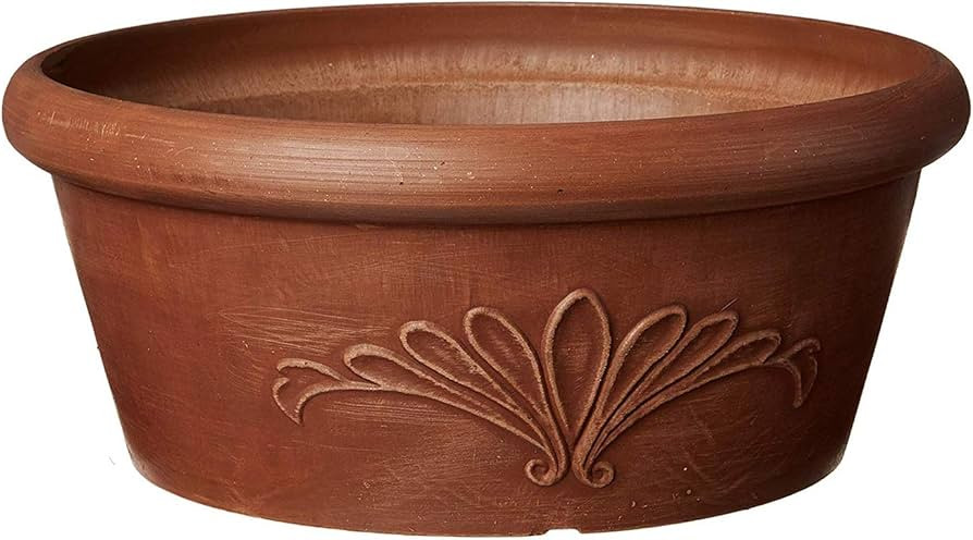 PSW Pot TA30TC Collection Shallow Bulb Pan Planter Dish Low Bowl for Succulents, Bonsai, Fairy Ga... | Amazon (US)