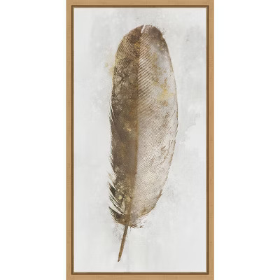 Amanti Art Golden Feather I by Ken Roko Canvas Wall Art Print Framed 14 x 27-in. | Target
