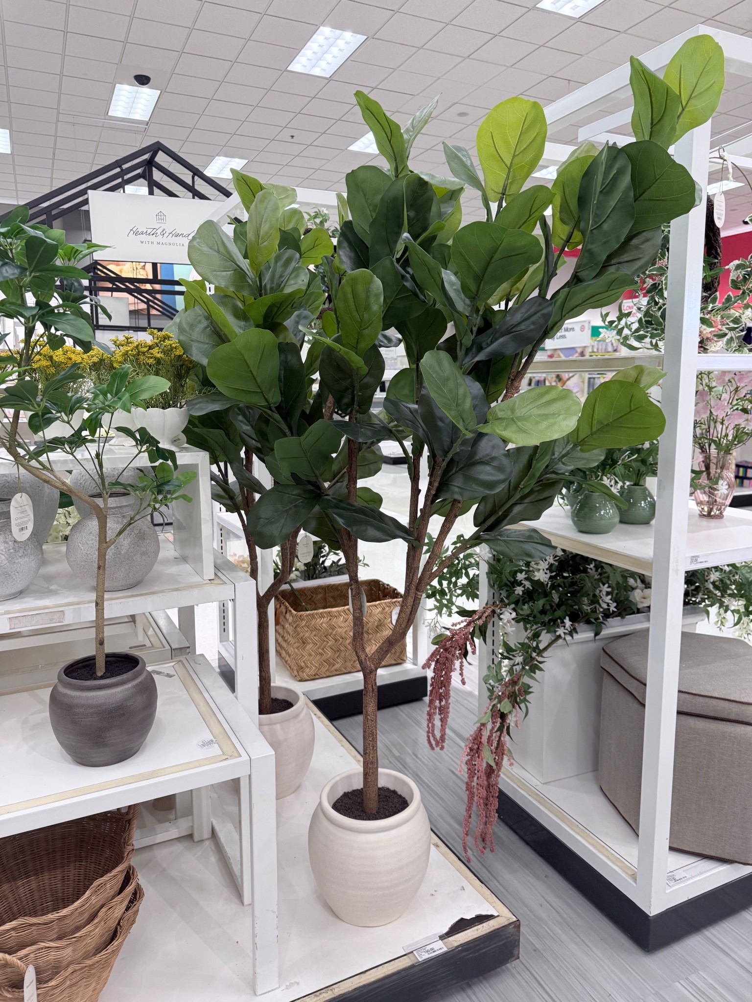 How stunning are these plants!

#LTKSeasonal #LTKsalealert #LTKhome