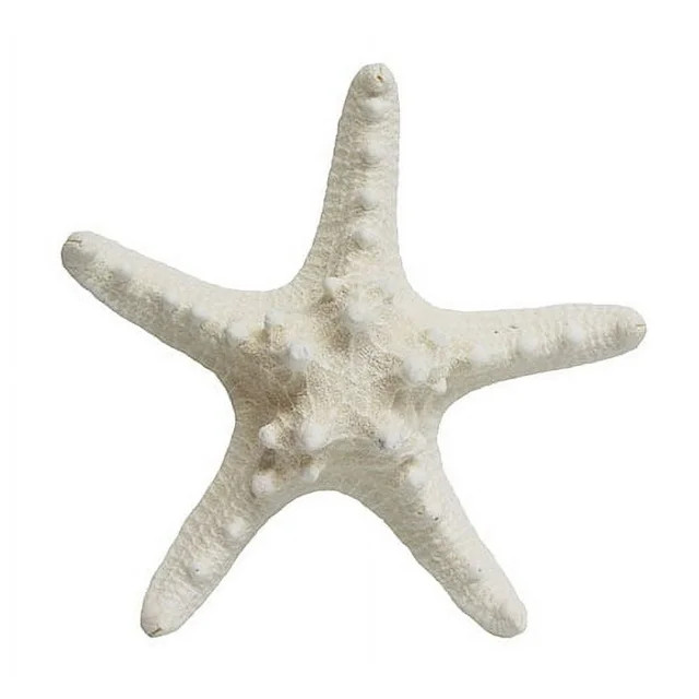 White Starfish Shell Beach Decor, 1 Piece Per Purchase, Styles Vary | Walmart (US)