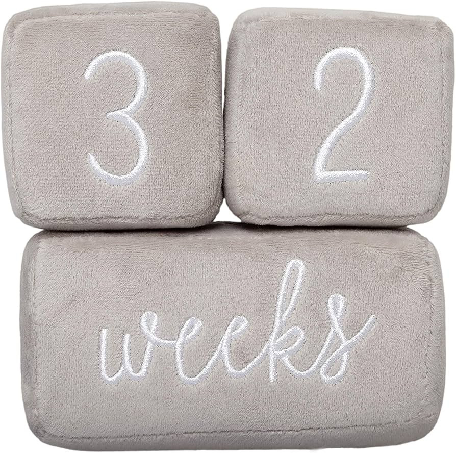 Pearhead Baby Plush Photo Sharing Milestone Age Blocks, Picture Prop, Set of 3 Blocks, Gray | Amazon (US)