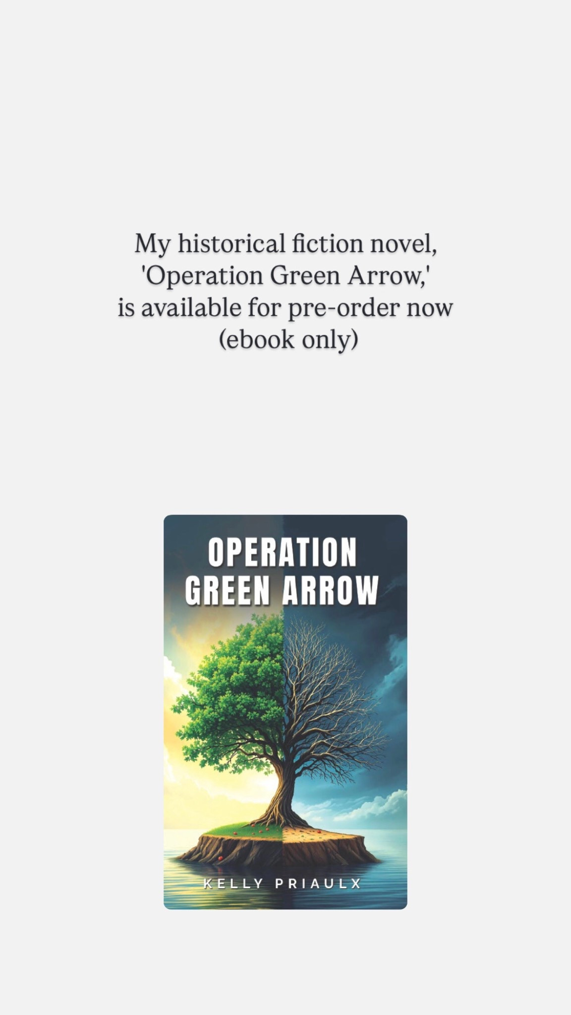My historical fiction novel, ‘Operation Green Arrow’ is available for pre-order now (ebook only, paperback and hardback to follow on 25th March 2025).

#LTKuk #LTKgiftguide