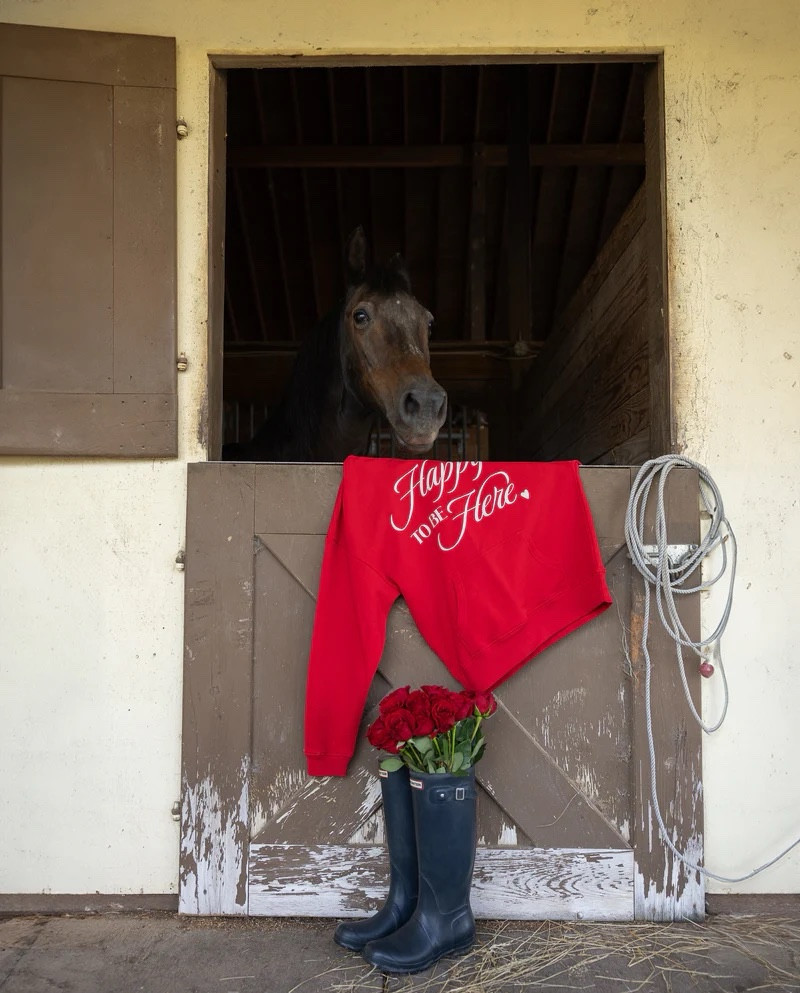 Country concert / western outfit idea✨🫶🏽

country concert, western, t shirt, oversized tee, trucker hat, t shirt dress, maxi dress, rustler, rustler hat co, rose ranch, Nashville, Dede Raad, dress up buttercup, mom of 3

#LTKFindsUnder100 #LTKStyleTip #LTKFindsUnder50