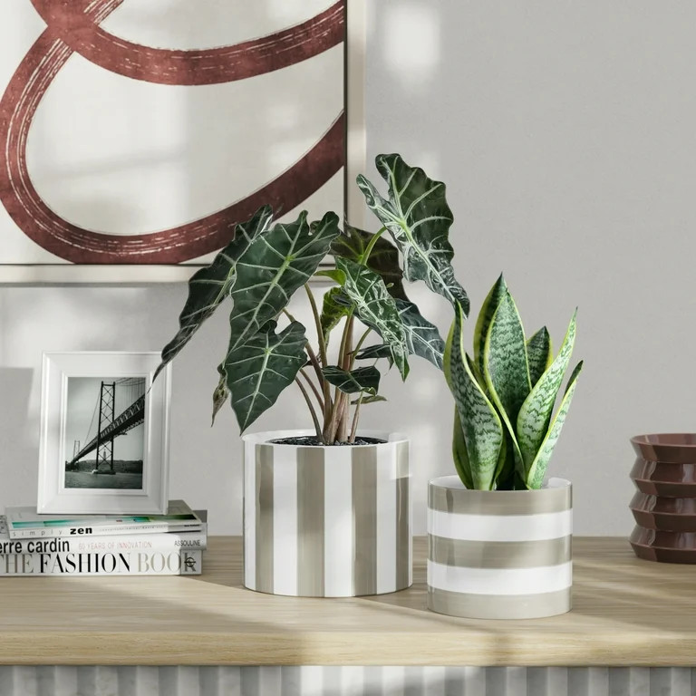 Mainstays Andrew 7.8" x 7.8" x 6.9" Round Birch Gray and Vanilla Dream Ceramic Planter | Walmart (US)