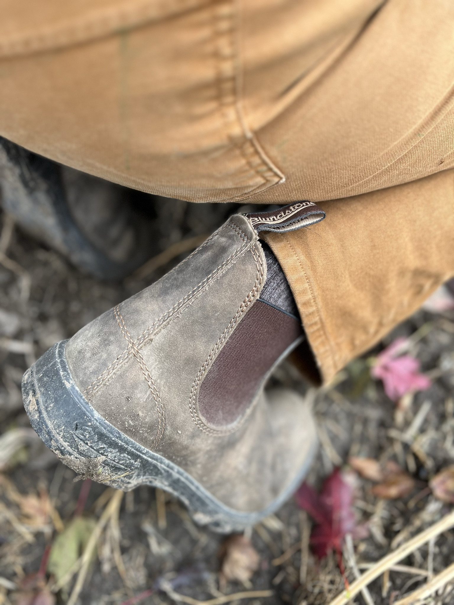 Toughest boots of the season

#LTKshoecrush #LTKSeasonal