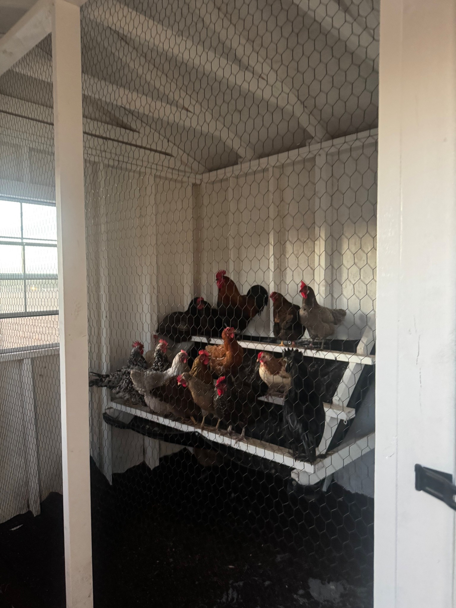 Tarp method is working great 

#LTKdayinmylife #LTKmorningroutine #LTKSeasonal