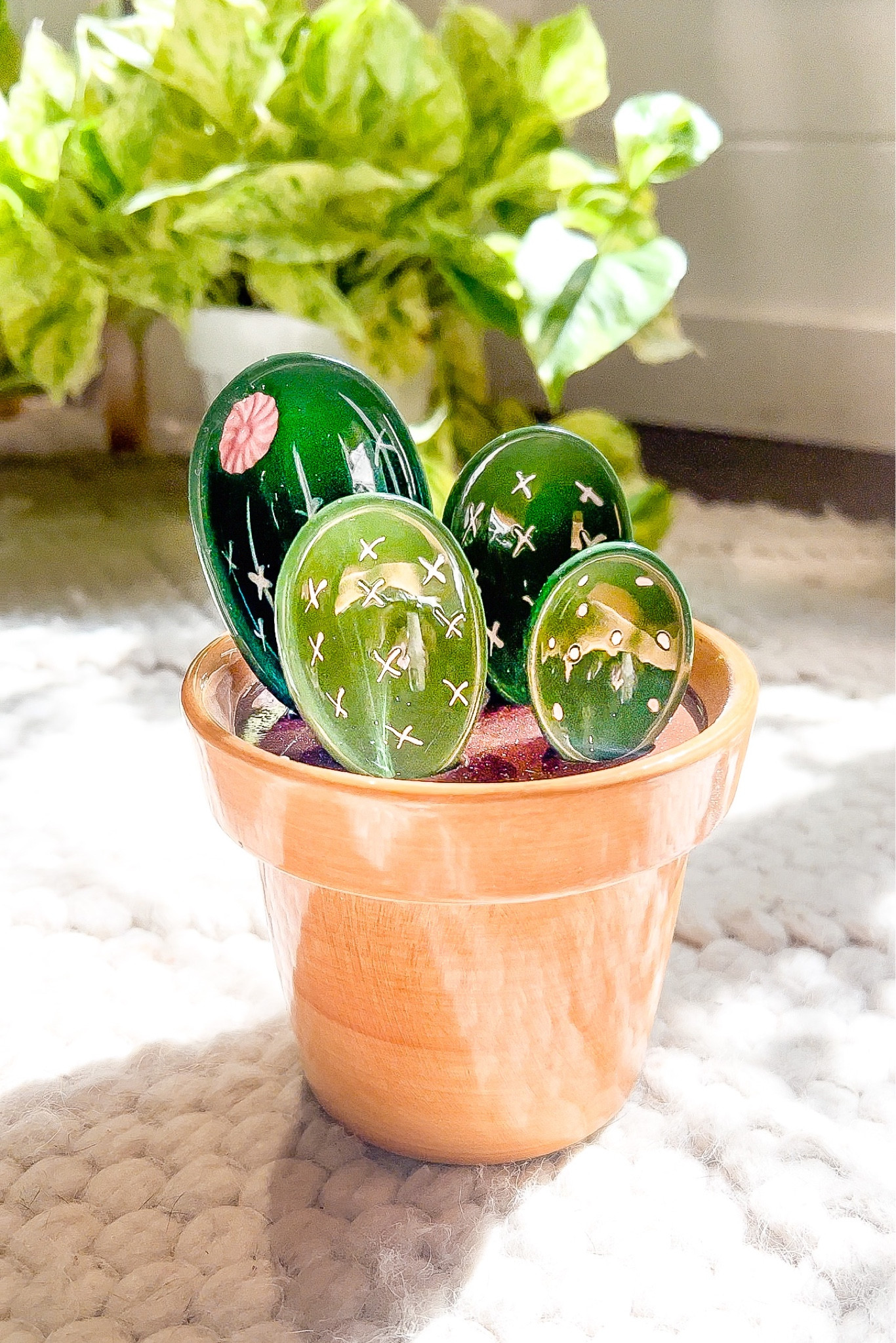 Perfect plant lover accessory, cactus measuring cup and spoons 

#LTKhome #LTKSale #LTKfindsunder50