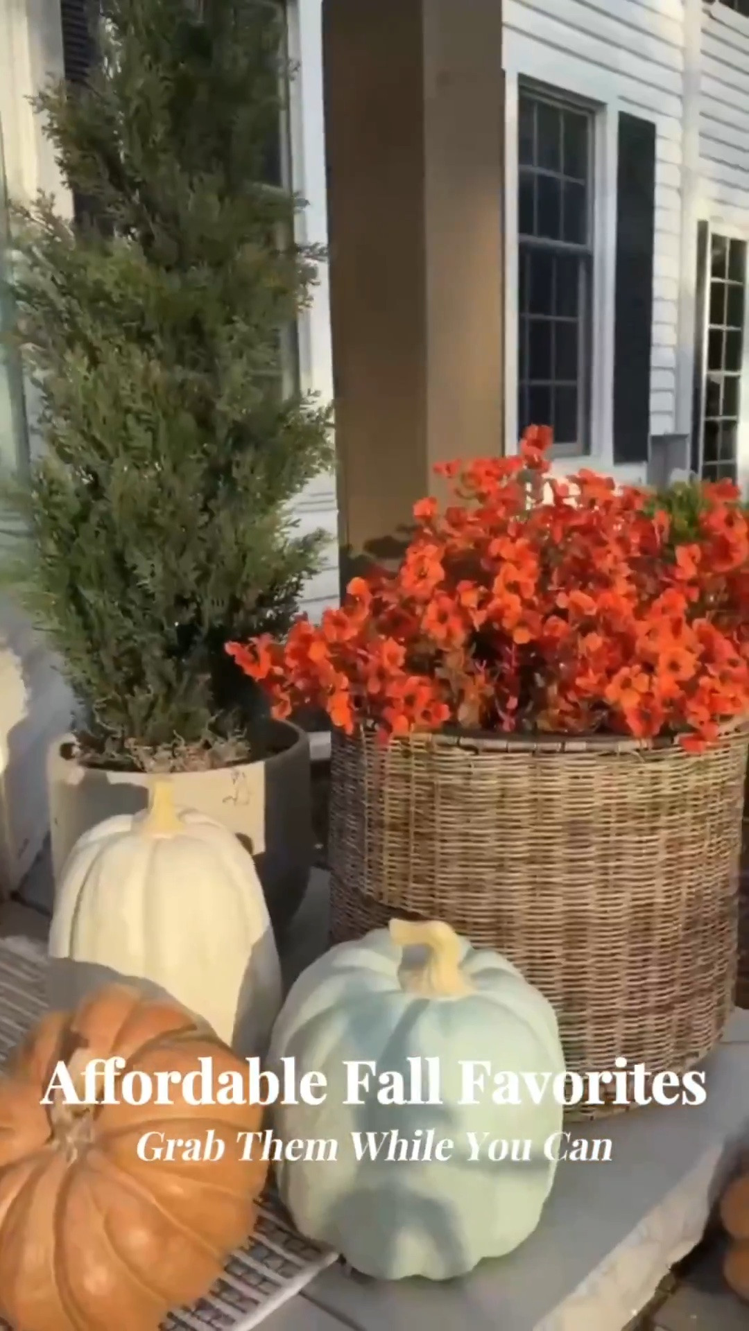 Affordable fall favorites you’re not going to want to miss! Everything from outdoor faux plants and greenery to indoors faux stems, woven bats and spiders, my favorite faux pumpkins, and so much more!

#LTKHome #LTKSeasonal