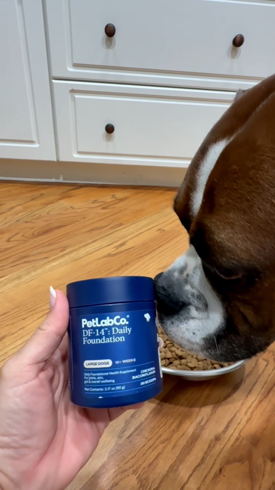 I started using PetLab DF-14: Daily Foundation as a health supplement for my boxer, Bruno’s, joints, skin, gut & overall wellbeing! 

You just add it to their food!

He gobbled his food up!

#LTKdayinmylife #LTKmorningroutine #LTKActive