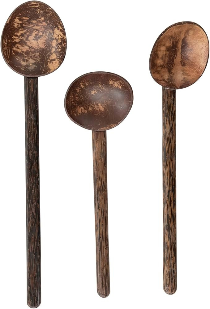 Creative Co-Op Coconut Shell Spoon with Mango Wood Handle, Set of 3 Styles | Amazon (US)
