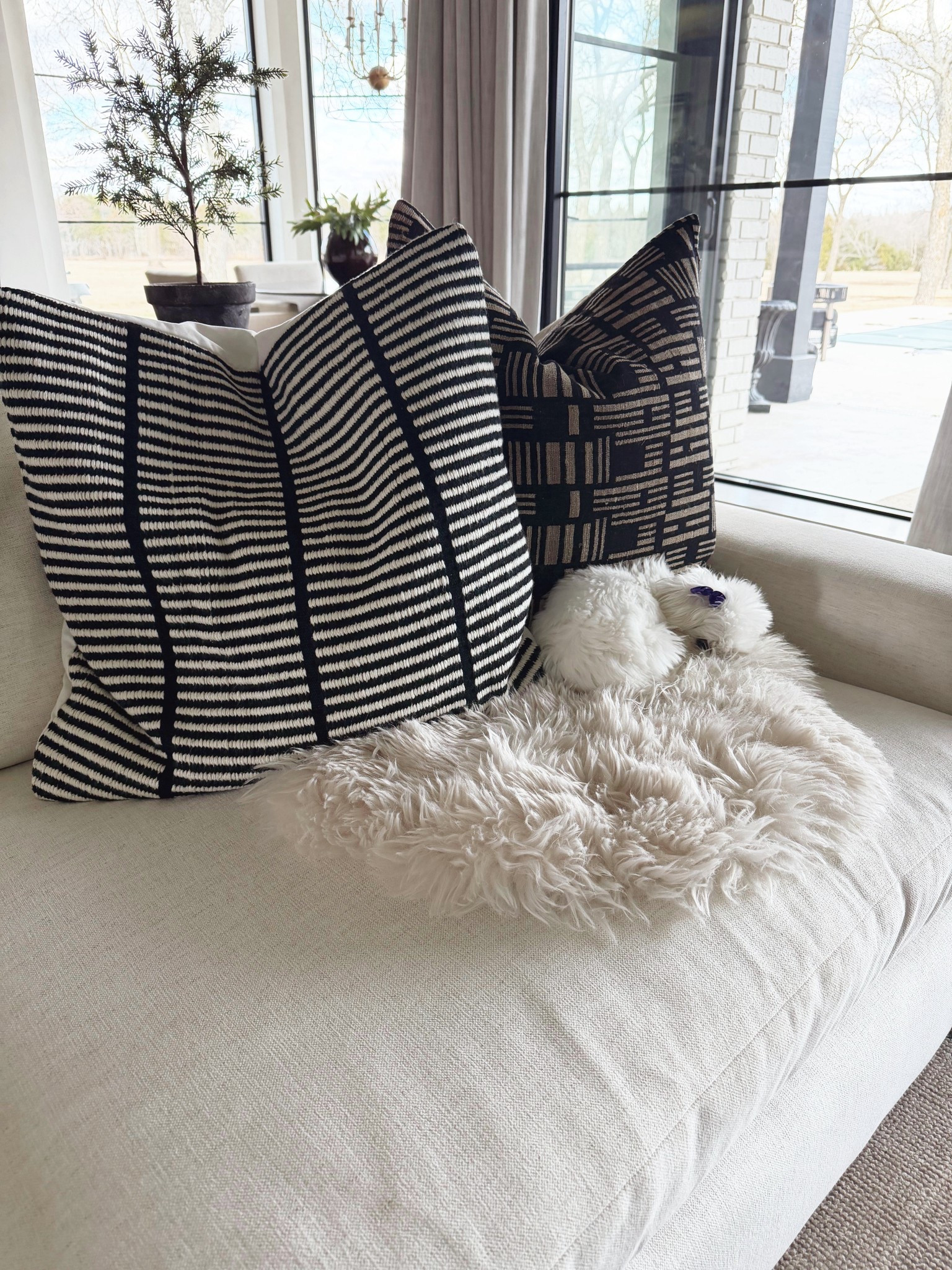 New sofa cushions pillows 