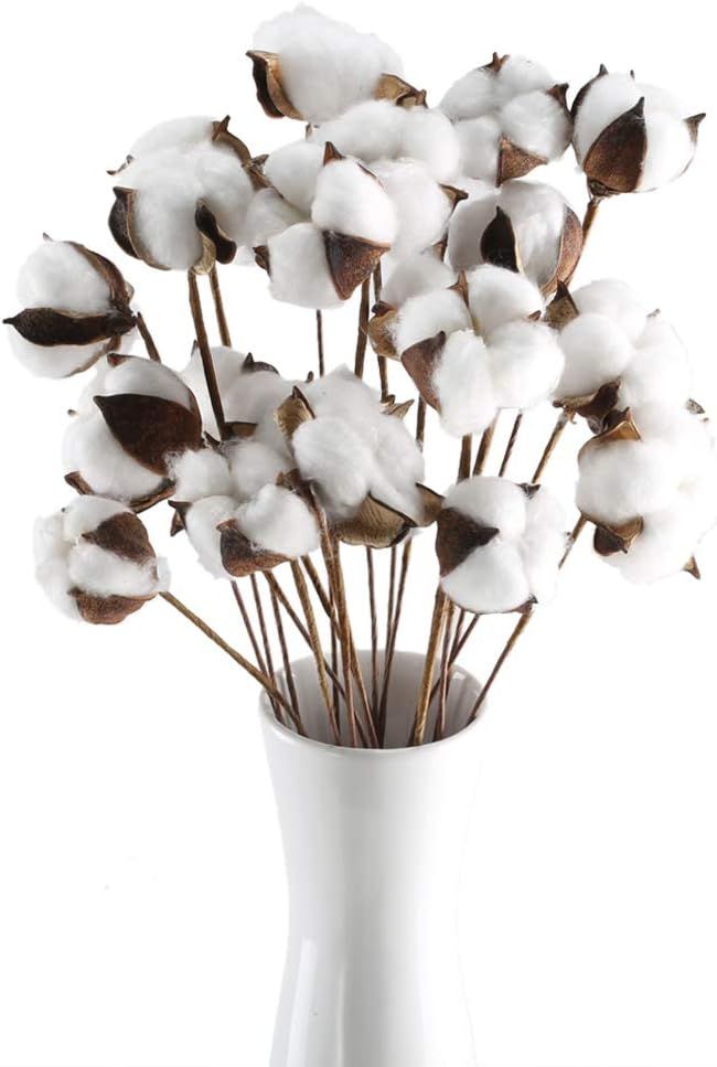 GTIDEA 20Pcs 23 inches Natural Dried Cotton Stem Farmhouse Artificial Flower Filler Floral Arrang... | Amazon (US)