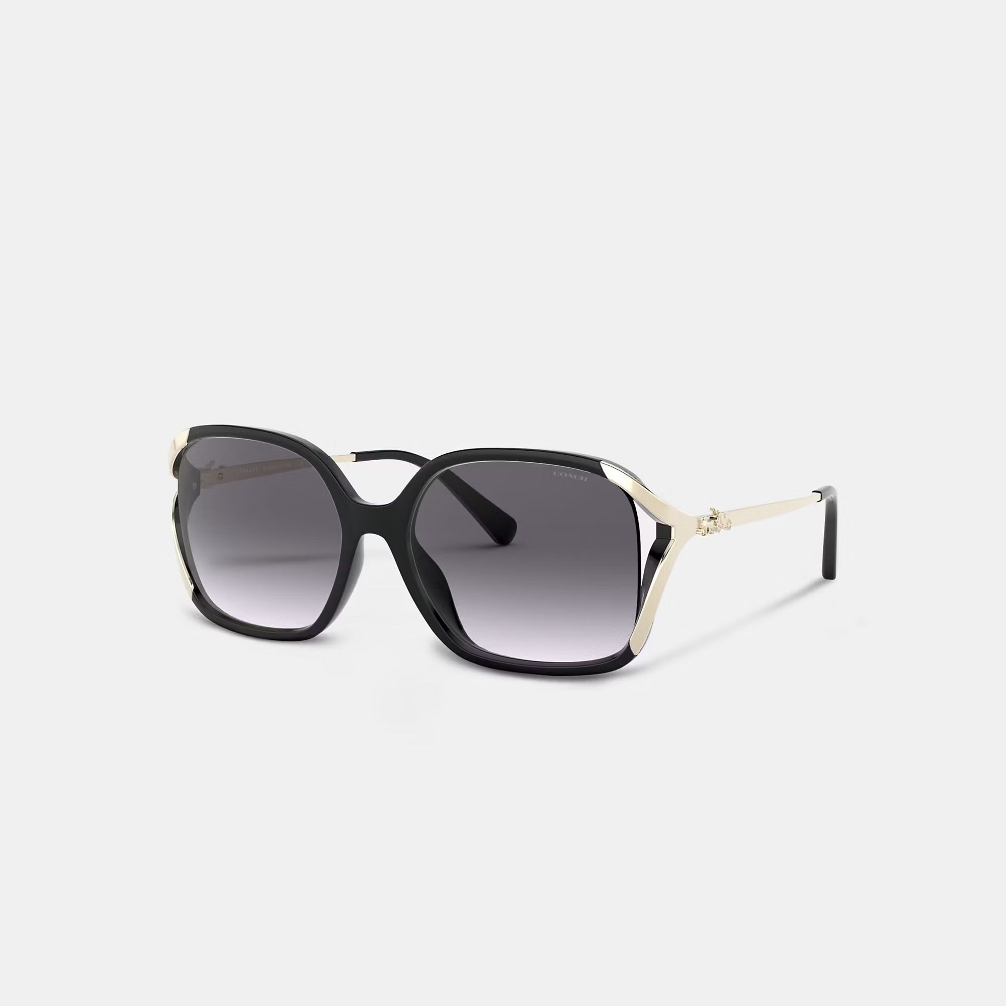 Oversized Horse And Carriage Sunglasses | Coach (US)