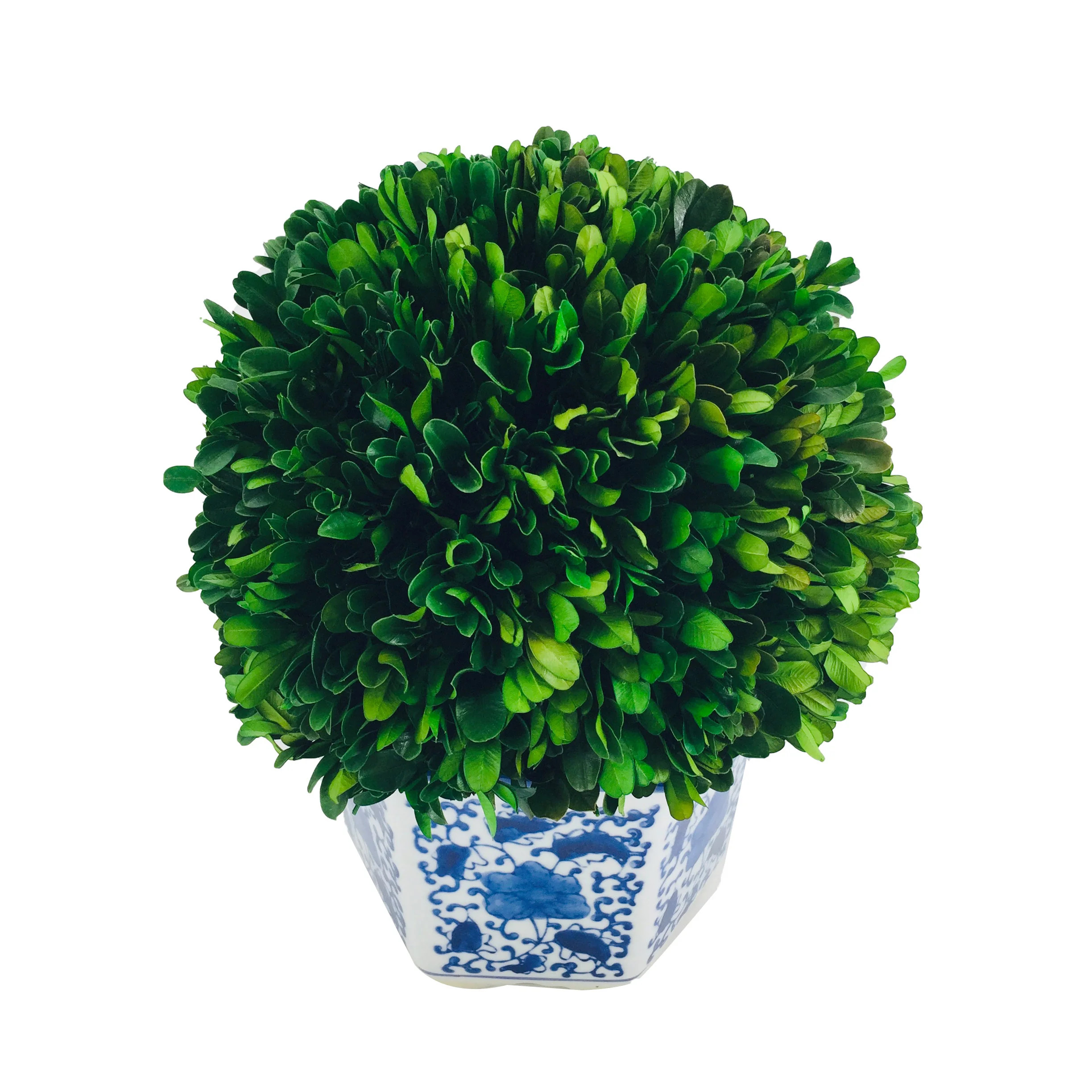 Boxwood Ball W/ Blue & White Pot | Wayfair North America