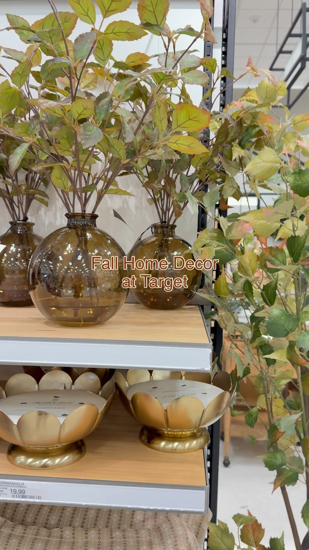 Fall home decor at Target! 🤎🍂

#LTKHome #LTKSeasonal