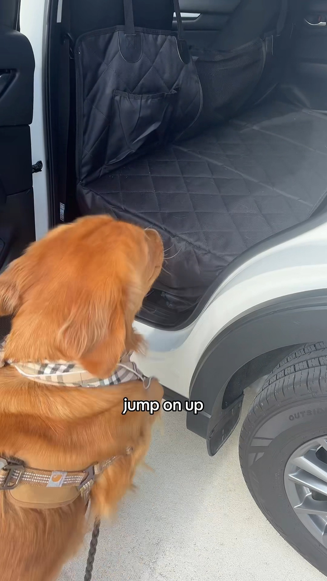 Dog hammock for the car! Heavy duty and waterproof, holds up to 400 lbs

#LTKFindsUnder100 #LTKTravel #LTKVideo