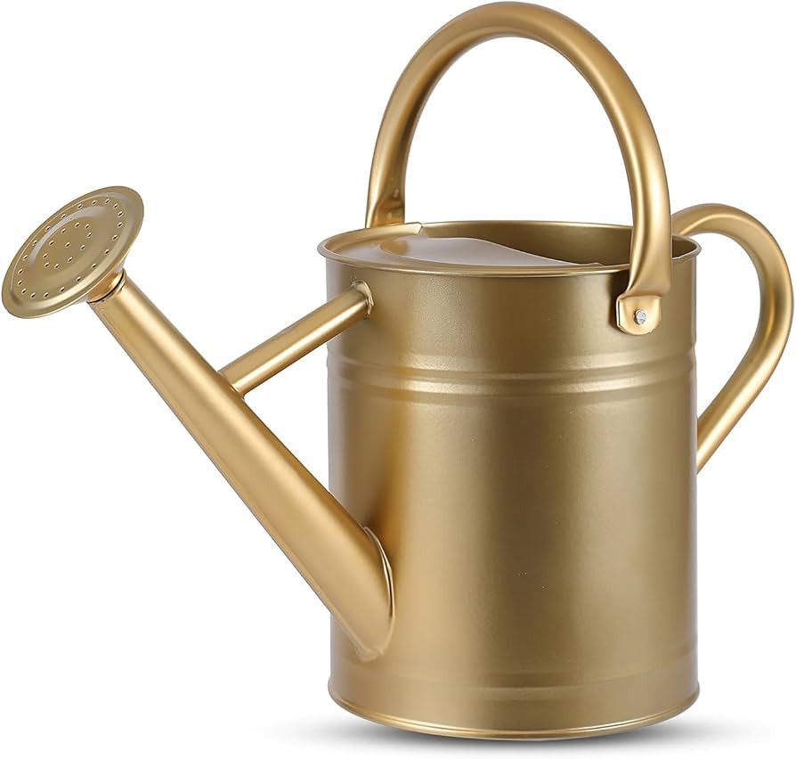 1 Gallon Watering Can for Plants, Watering Cans for Indoor&Outdoor Gardening, Galvanized Steel Wa... | Amazon (US)