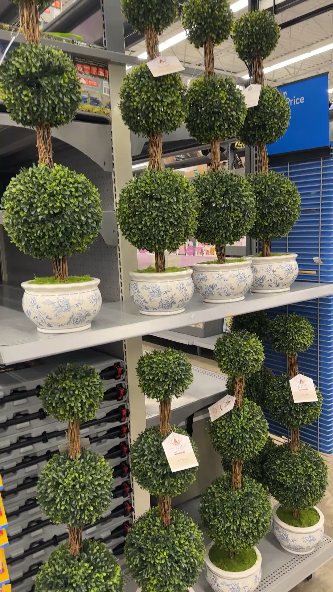 Topiary!

#LTKHome