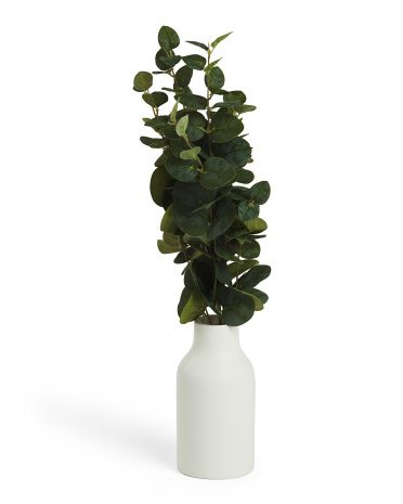 25in Eucalyptus Stem In White Matte Vase | TJ Maxx
