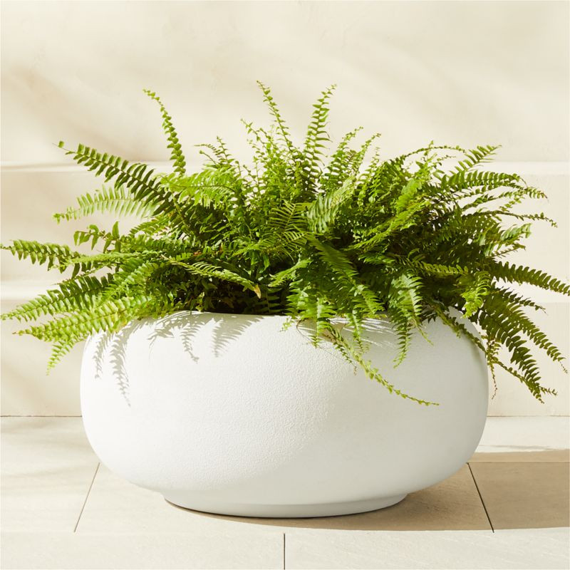 Anique Round White Cement Indoor/Outdoor Planter Short + Reviews | CB2 | CB2