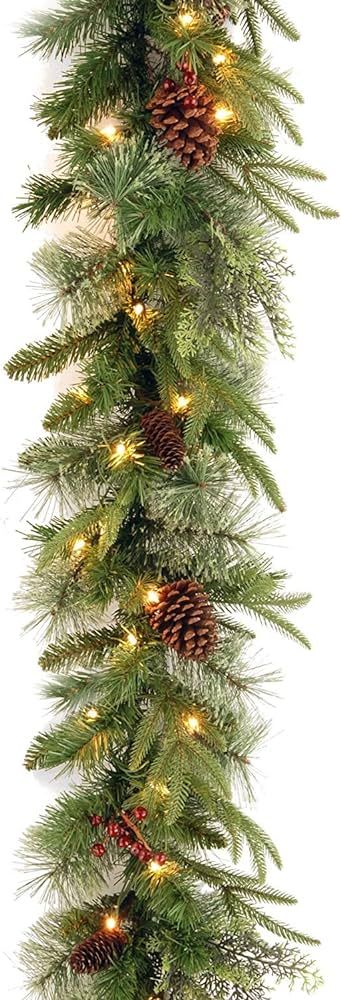 National Tree Company Pre-Lit 'Feel Real' Artificial Christmas Garland, Green, Colonial Fir, Whit... | Amazon (US)