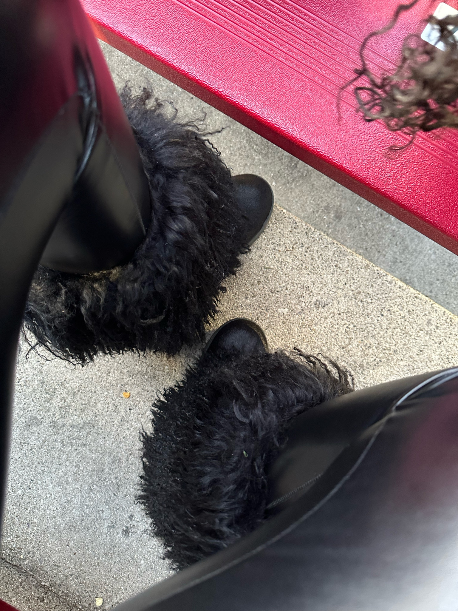 Fur boot

ftts | wearing size 8

#amazonhome #outfitinspo #flyageless #silverhair #pixiecut #winterstyle #whatiwore #shorthairstyle #midlife #fashionover40 #stylereel #ootd #shoecrush #shoeobsession #explorepage #Deals #CyberMonday #fitnessinspo #LTKHosting #whattowear #LTKunboxing #LTKbeauty #beauty #hacks #skincare #LTKsalealert #LTKShoeCam #whatifound #AmazonFinds #StockingStuffers #GiftsForHer#LTKCyberWeek 

#LTKHoliday #LTKGiftGuide