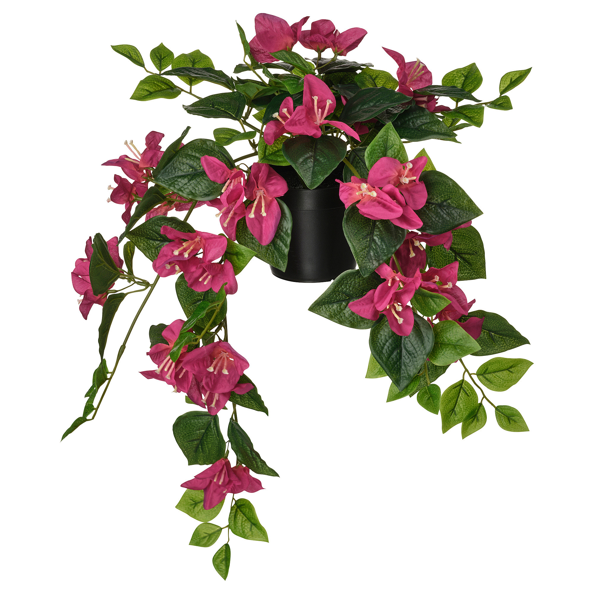 FEJKA Artificial potted plant, indoor/outdoor/Bouganvilla pink, 4 ¾ " | IKEA US