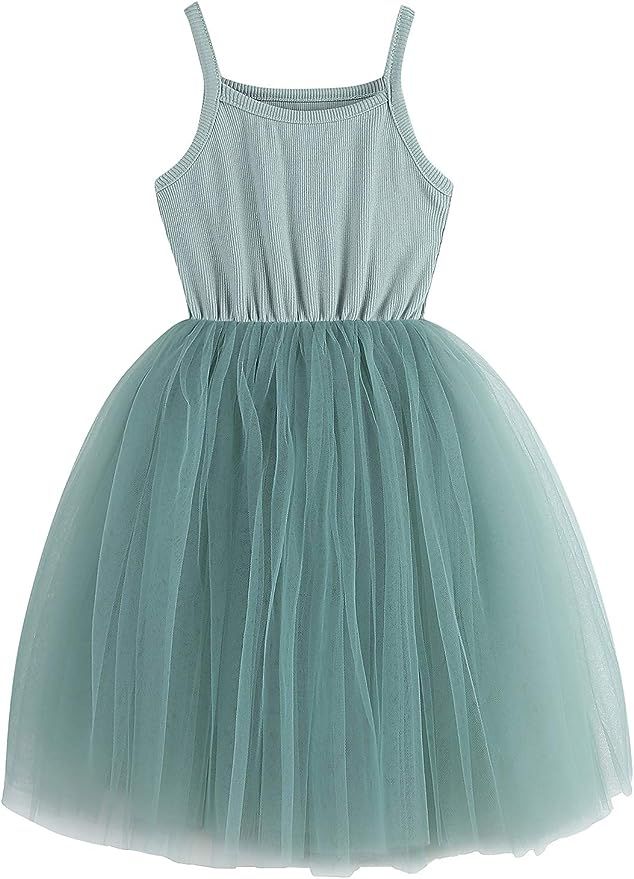 BTGIXSF Baby Girls Tutu Dress Toddler Long Sleeve/Sleeveless Dresses Infant Tulle Sundress | Amazon (US)