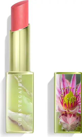 Wild Meadows Lip Chic | Nordstrom