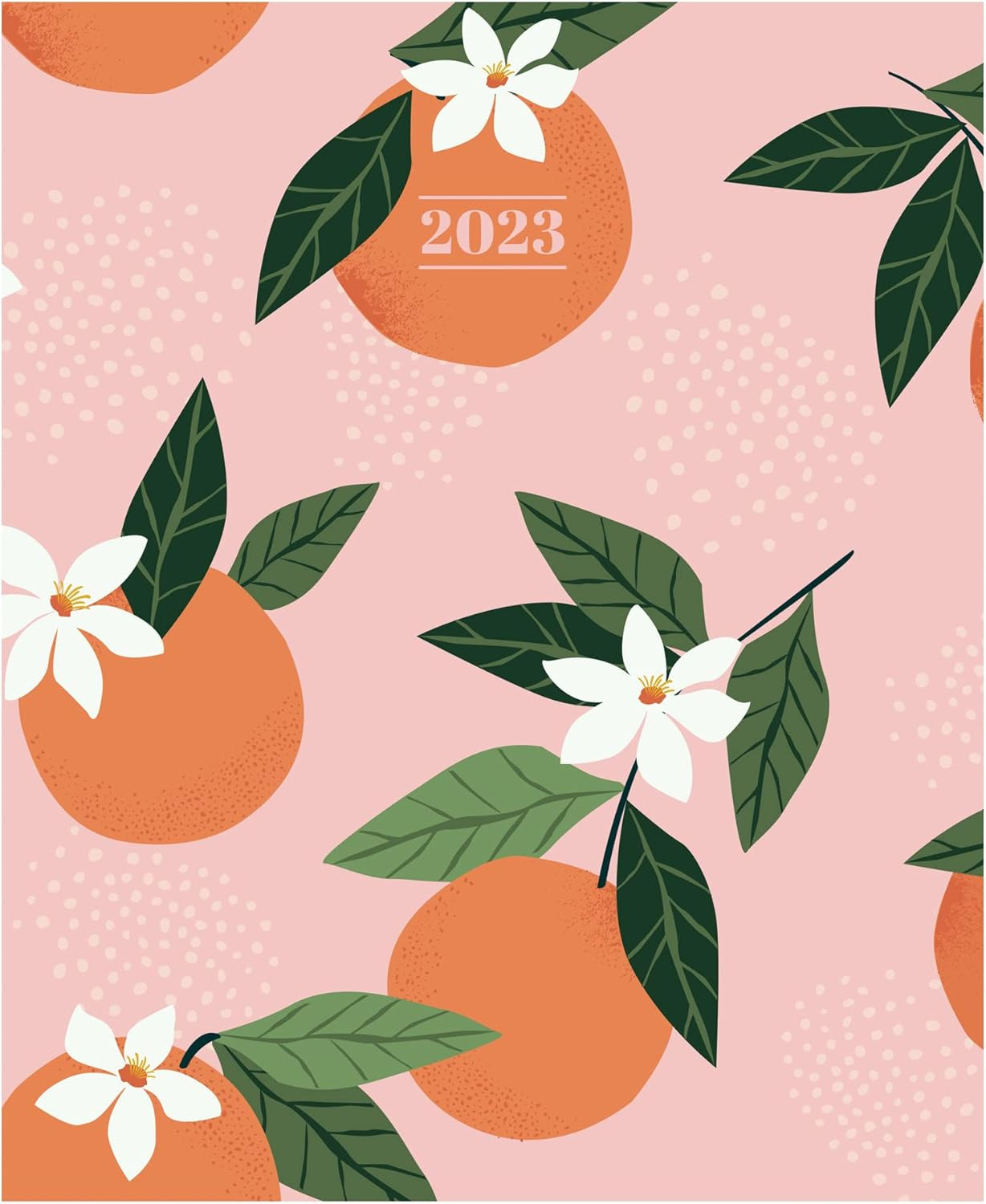 Amazon.com : TF PUBLISHING 2023 Orange Blossom Large Planner | Day Planner 2023 & Weekly Planner ... | Amazon (US)