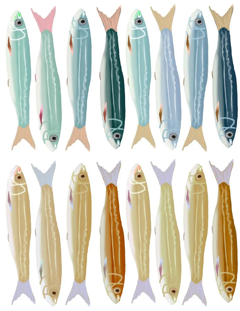 Adorable Sardine Wall Decals | Etsy (Global)