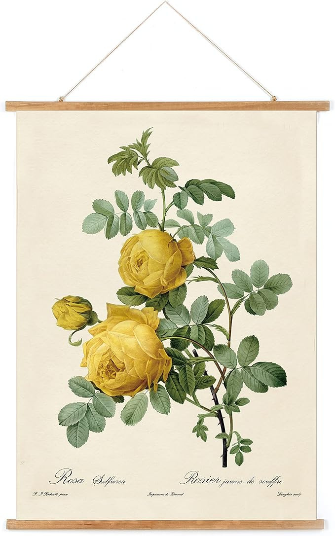 MIDEFINCH Vintage Rose Poster Hanger Frame, Retro Style Wall Decor Art Painting, Patterns are Pri... | Amazon (US)