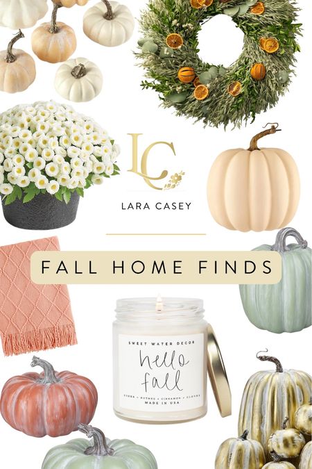 Fall home finds—all my favorite cozy fall favorites! 

#LTKFind 

#LTKSeasonal #LTKhome