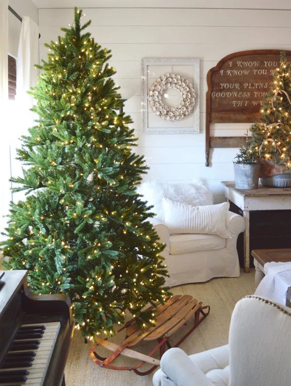 9 Foot King Fraser Fir Quick-Shape Artificial Christmas Tree Unlit | King of Christmas