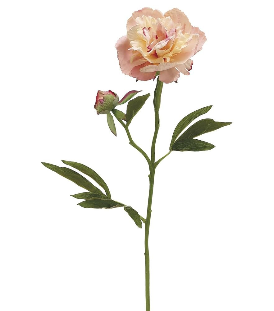 Afloral 22'' Peony Spray x2 Apricot Rose | Amazon (US)