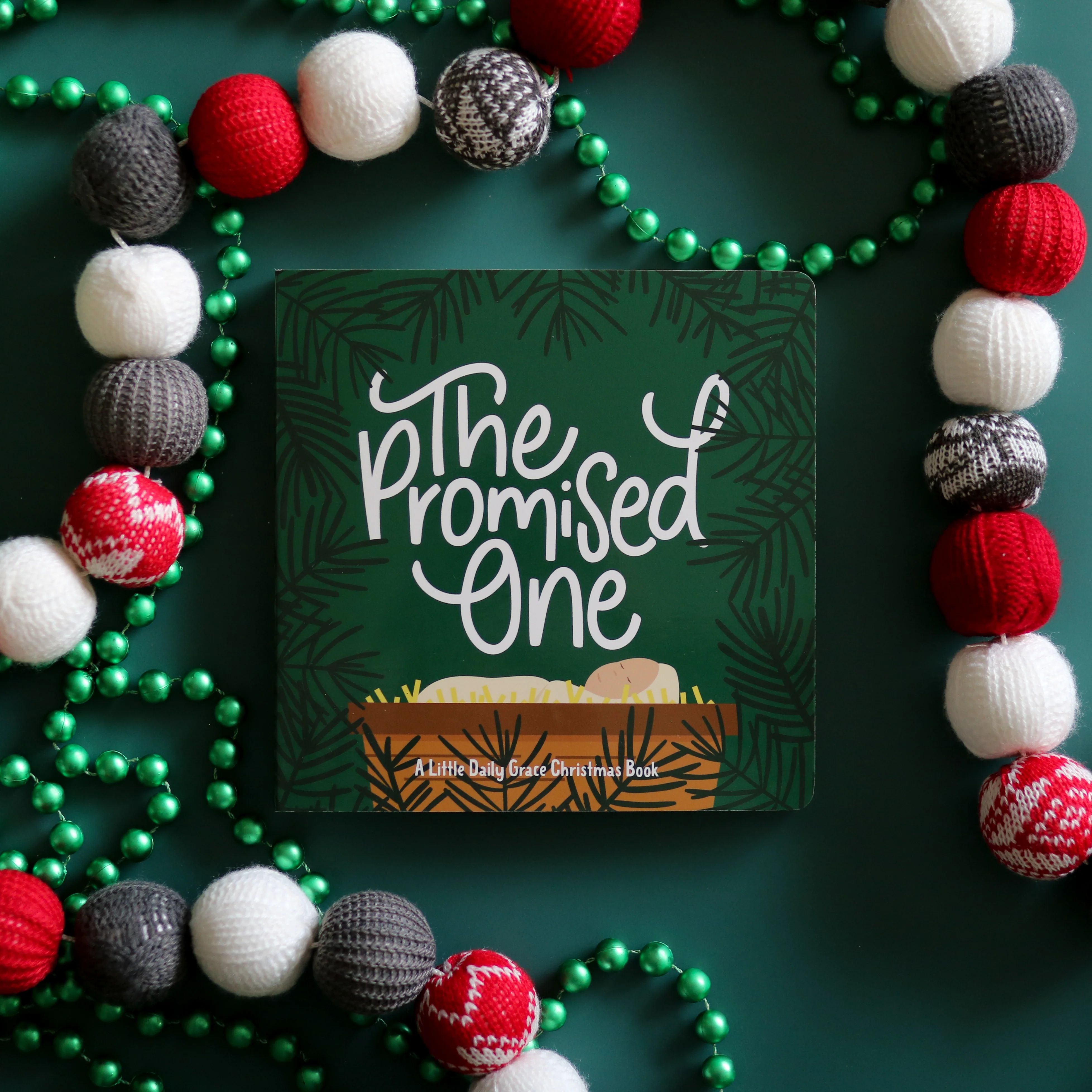 The Promised One - Board Book | The Daily Grace Co.
