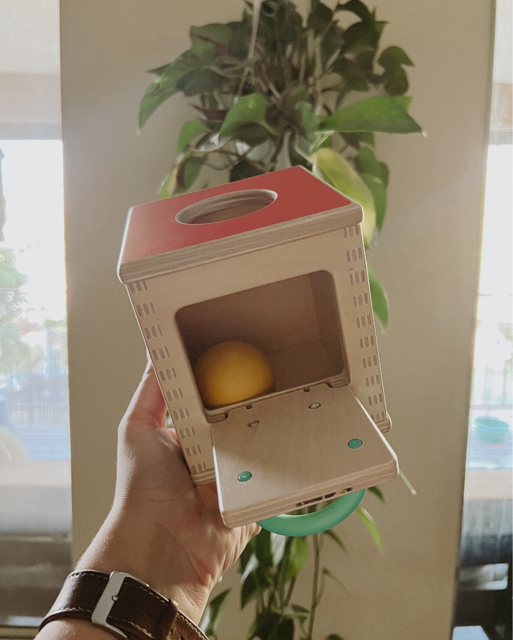 Got a new Montessori toy! Perfect to start at 9 months 

#LTKKids #LTKFamily #LTKBaby