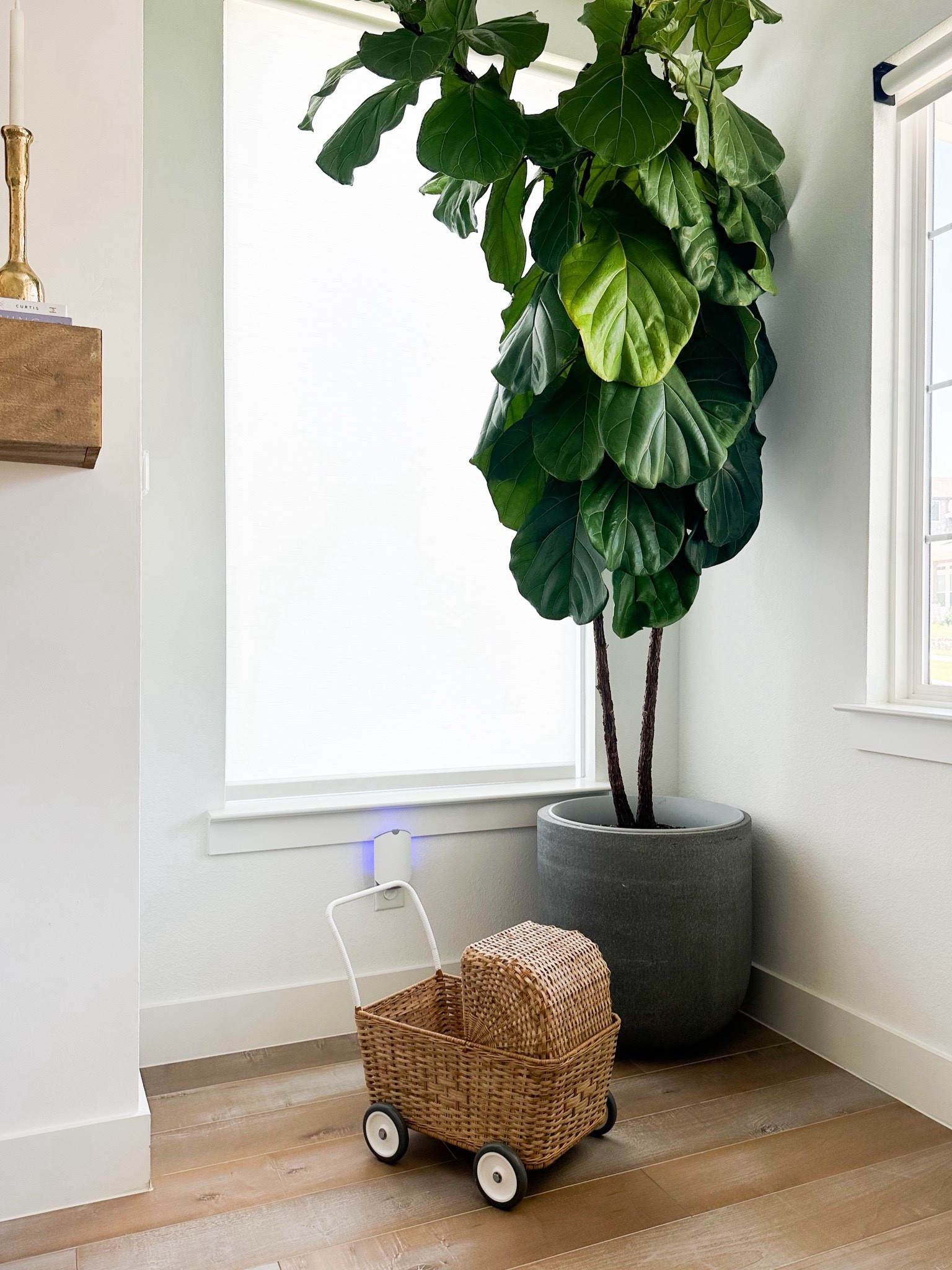 Toy rattan doll stroller that is also convertible to a trolley or buggy, too. Has a steel frame and is hand-crafted rattan weave. Our daughter loves it and uses it daily! Looks pretty as decor, also  



#LTKStyleTip #LTKKids #LTKHome